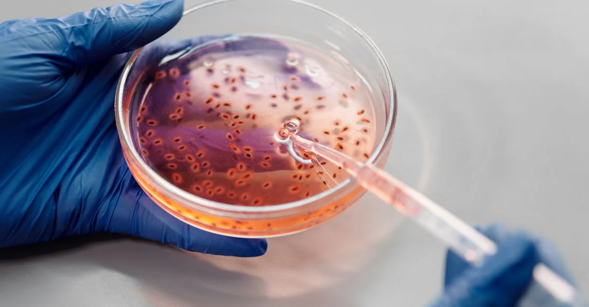 Risks-of-Bacteria-at-Beaches-and-Evidence-Based-Safety-Measures-560.jpeg